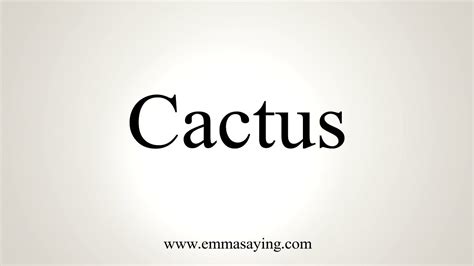 cactaceae pronunciation.